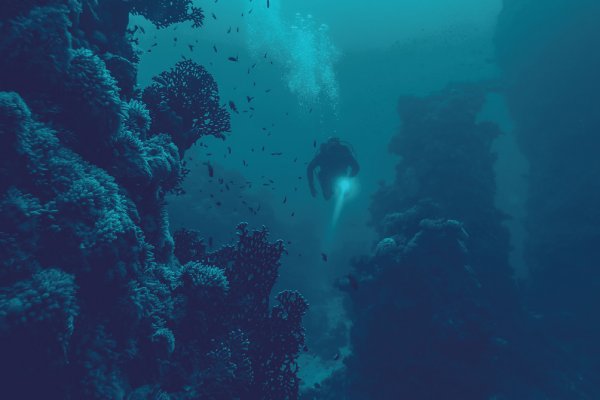 Магазин kraken даркнет