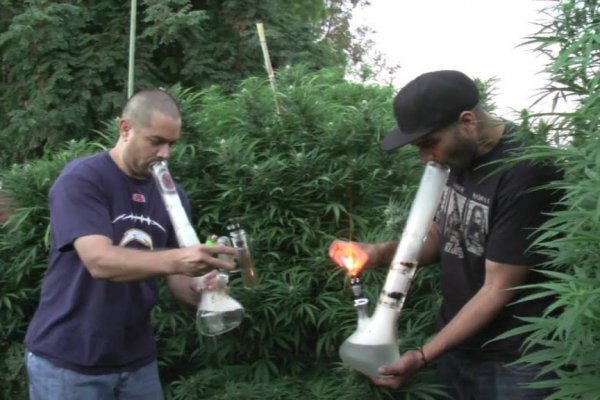 Кракен оф сайт